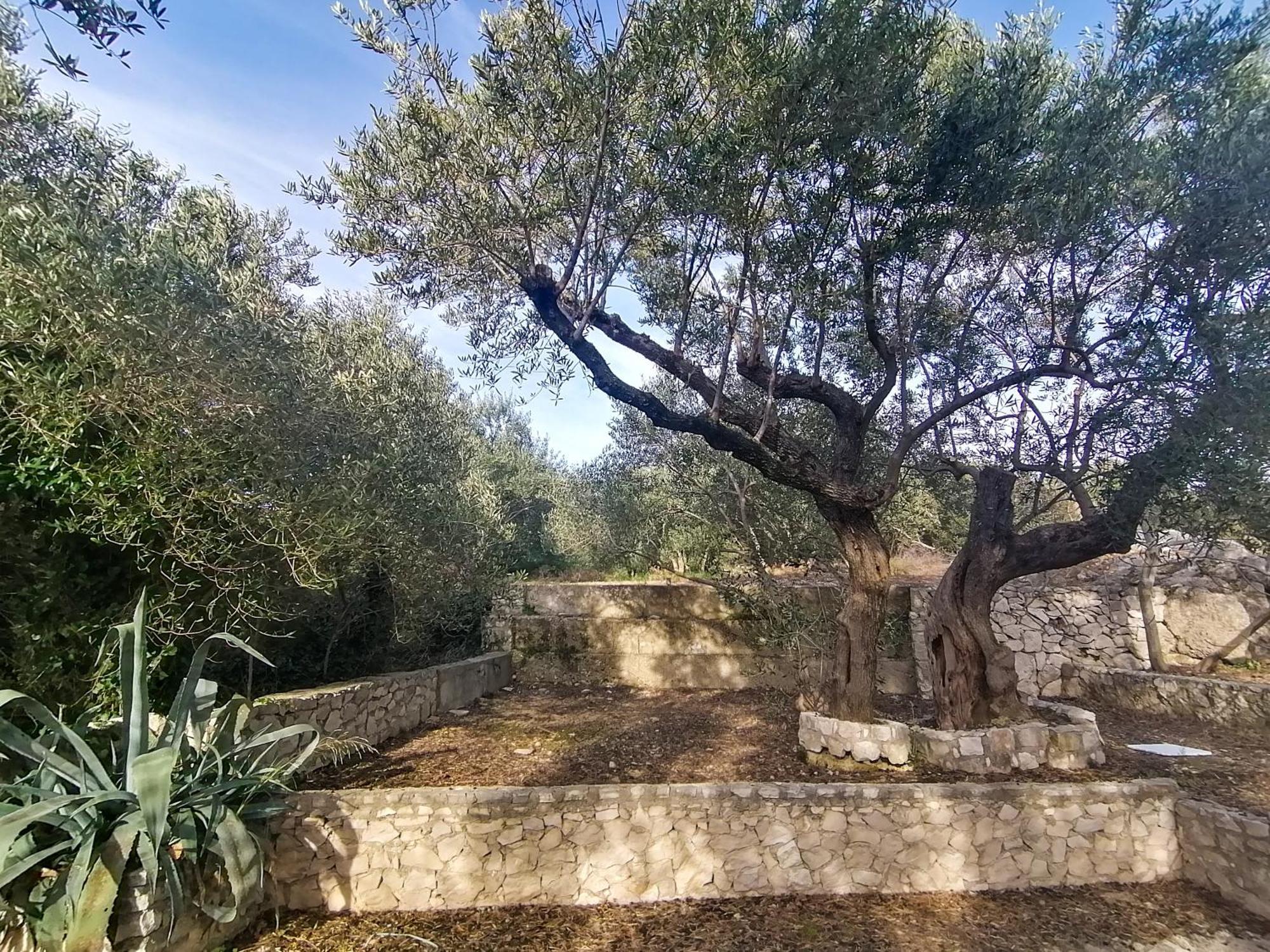 Vila Dolani Klek Esterno foto