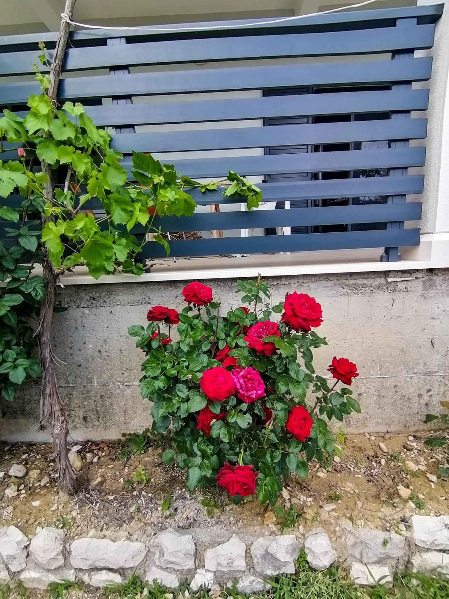 Vila Dolani Klek Esterno foto
